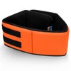 Swim Belt for Adults Swim Floating Belt with Adjustable Pool