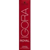 Schwarzkopf IGORA ROYAL 6-1 Dark Blonde Cendr? 60ml