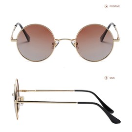 WDZAYXC Retro Classic Round Polarized Sunglasses with Metal Frame for Men and Women, gold/brown