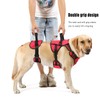 NOYAL Dog Lift Harness for Senior & Injured Pets –