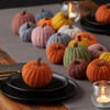 Mini pumpkins set of 5, knit pumpkin decor, cozy season