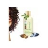 Shampoo Cabello Rizado Aceite De Tamanu Y Nigella Terramar