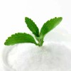 Mood & Mind Organic White Stevia Extract 16 oz/1 lb
