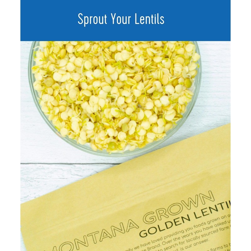 Certified Glyphosate Residue Free Yellow Lentils Grown Montana | 25