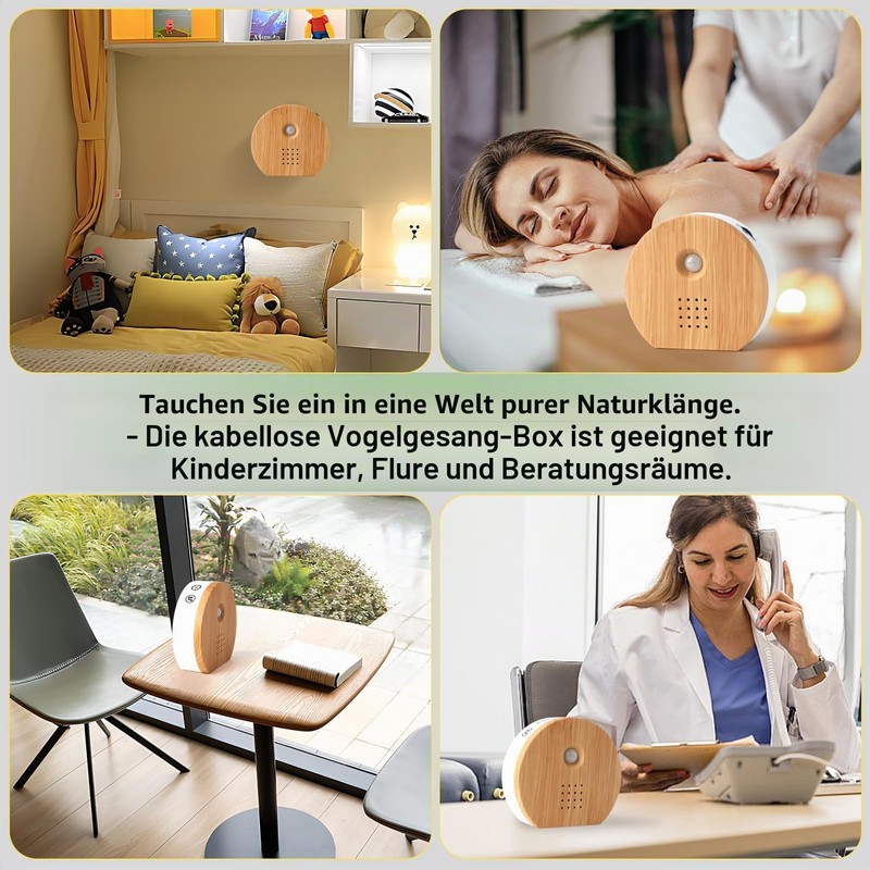 Bird Chirping Motion Sensor Box, Birdsong, Natural Sounds Box with