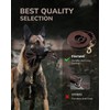 FAIRWIN Braided Leather Dog Training Leash 6 Foot - Dog