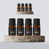 Hair Oil Sample Size Bundle for Men & Women by