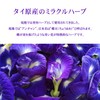 Heart of Tea Butterfly Pea Tea Bags Herbal Tea Butterfly