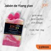 Jabón Artesanal Natural De Avena Con Ylang Ylang (pack 6)