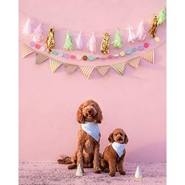 Remy+Roo Bandanas para perro, paquete de 2 unidades, juego de cumpleaños, tela duradera de alta calidad, forma única, ajuste ajustable, varios tamaños disponibles (grande)