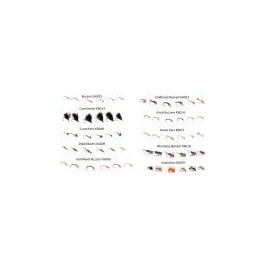 Craig Barr Proven Handcrafted Flies Buzzers, Nymphs And Small Flies All Variations: Diawl Bachs