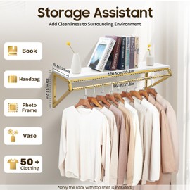 SEANESZTI Industrial Pipe Clothing Rack with Top Shelf, Wall-Mounted Coat Rack Heavy Duty Garment Bar, Multi-Purpose Clothing Hanging Rod Display Hanging Clothes Rack, Gold