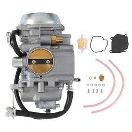 RADHLBNIU Carburetor Compatible with Arctic Cat 250 300 400 2x4 4x4 ATV 1998-2001, Replace 0470-348 0470-352 0470-362 0470-367
