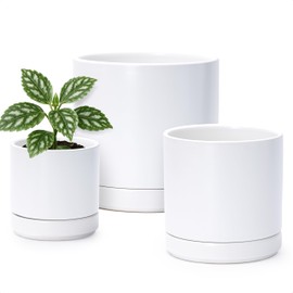 D'vine Dev 4 Inch & 6 Inch & 8 Inch, Set of 3 Round Ceramic Planter Pot with Drainage Hole and Saucer, White, 94-T-M-1