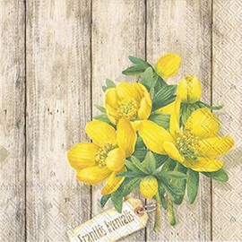 IHR - Eranthis Hyemalis 3 Ply Napkins 20pk (Cocktail 25x25cm)