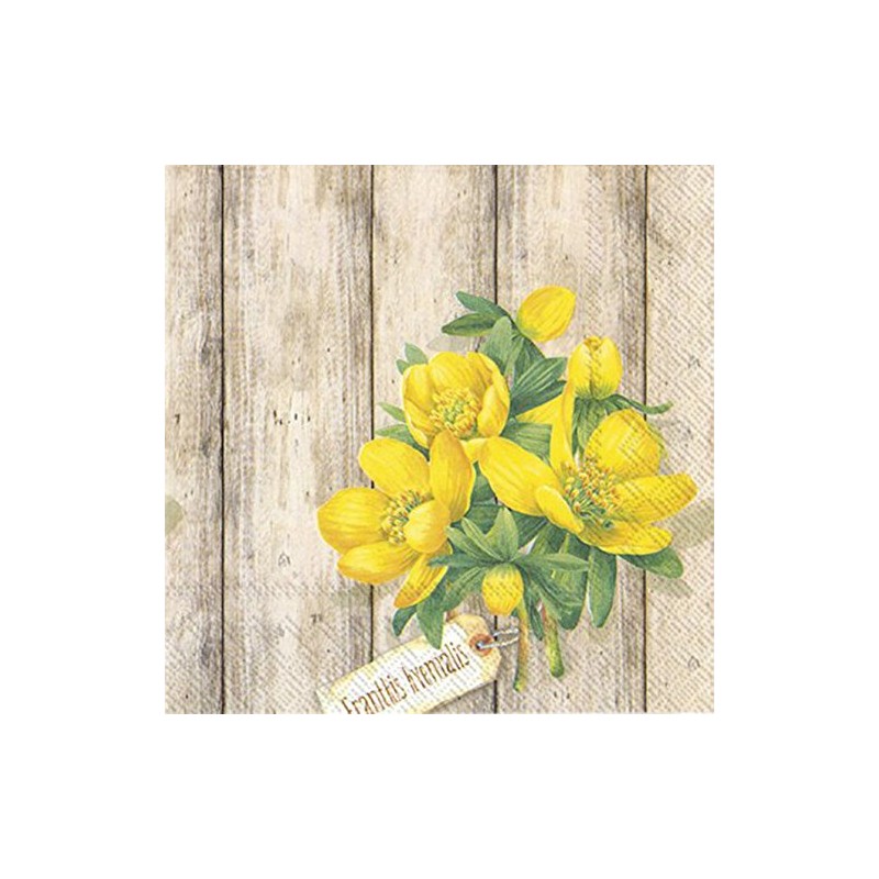 IHR - Eranthis Hyemalis 3 Ply Napkins 20pk (Cocktail 25x25cm)