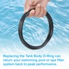 39010200 Pool Tank Clamp O-Ring for Pentair CCP 520/420/320 Clean