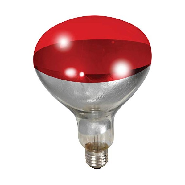 Little Giant Red Heat Lamp Bulb