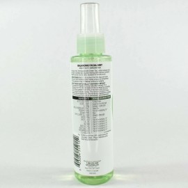 Garnier Skin Active Balancing Facial Mist Green Tea Vegan 4.4 fl. oz. New