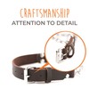 Mighty Paw Martingale Dog Collar - No Pull Design -