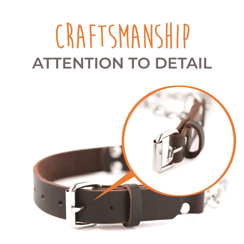 Mighty Paw Martingale Dog Collar - No Pull Design -