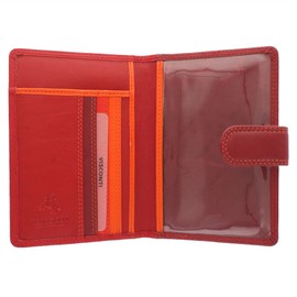Visconti Rainbow Collection Leather SUMBA Passport Holder RFID Blocking RB75 Red Multi