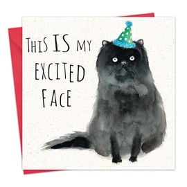 Twizler Funny Birthday Card Cat - Humor Cat Happy Birthday Card for Her Women Female - Men Him Male
