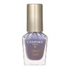 Canmake Colorful Nails N54 Sparkling Lagoon