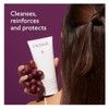 Caudalie Gentle Conditioning Shampoo Frequent Use 200 ml