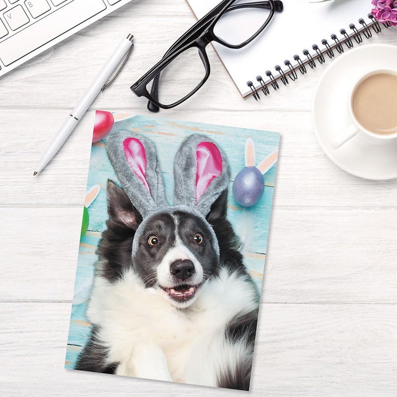Current Picture This Dog & Cat Easter Value Greeting Card