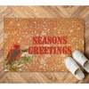 SILYHEART Seasons Greeting Coir Doormat Winter Mistletoe Bird Nut Rug