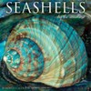 Willow Creek Press, Seashells 2026 Wall Calendar, 12'' X 12'',