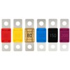 Midi Fuse 32V - 30A to 200A | High Current