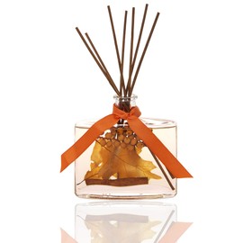 Blissful Harvest Botanical Reed Diffuser | 5.5 fl oz | Scents of Clove, Ginger and Nutmeg