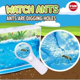 Science Ant Farm Kit for Live Ants, FunKidz Ant Colony Habitat Kit for Kids Gel Bug Terrarium House Watch Ants Dig Tunnels Entomology Learning Toys for Boys Gift