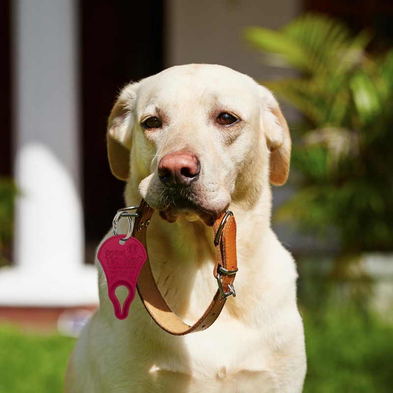 The Original Tick Key -Tick Removal Device - Portable, Safe