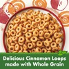 Cascadian Farm Organic Cinnamon Apple Cereal, No Added Sugar, Made