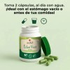 Clorofila clat Vert Ga Tlali 60 Cpsulas Detox Natural, Apoyo