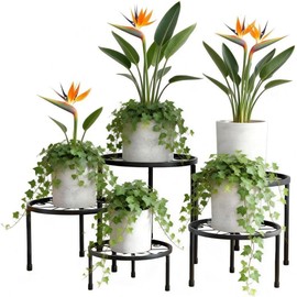 Paquete de 5 Soportes Para Plantas De Metal, Soporte para Macetas para Exteriores y Interiores, Soporte Redondo Para Exhibir Estante para Plantas en Niveles