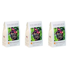 Butterfields Grape Muscadine Merlot Buds Hard Candy 3 Oz. (Pack of 3)