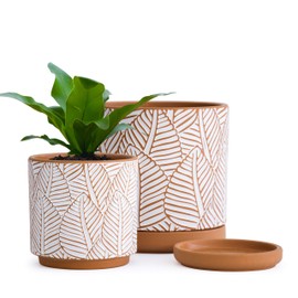 Set of 2, Broadleaf Pattern Planter Pot, 4.5 Inch and 6.4 Inch, Pot with Drainage Hole and Saucer, Terracotta/White, A-958-8-1