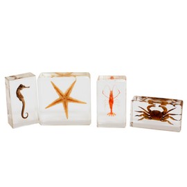 REALBUG Sea Life Specimen 4pc Set
