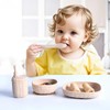 Fannobaby Silicone Baby Feeding Set, Baby Led Weaning Supplies 8