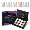 AIMEILI Hema Free Solid Gel Nail Polish 12 Colours Soak