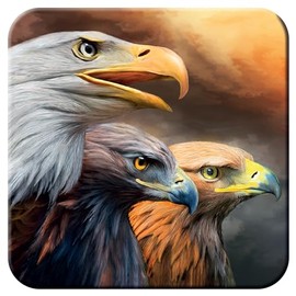 3D LiveLife Cork Coaster - Three Eagles from Deluxebase. Drinks Coaster with Lenticular 3D Animal Image. Non-Slip Protective Table Drink Mat for Home Decor and Decorative Accessories.