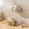 Veefos Garlic Keeper Storage Ginger Container, 3-Pack Small Clear Acrylic