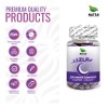 Zlp 100 Cápsulas Duerme Dormir Descansar Más Ingredientes Naturales Plantas