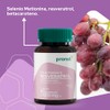 PRONAT Resveratrol, Antioxidante, Suplemento Alimenticio, Selenio y Betacaroteno, 60 Cpsulas
