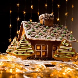 HANSEL & GRETEL'S HOUSE FRAGRANCE OIL - 16 OZ/1 LB - FOR CANDLE & SOAP MAKING BY VIRGINIA CANDLE SUPPLY - FREE S&H IN USA