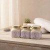 Pack Crema De Camote Del Cerro Natural's Gdl 3 Frascos